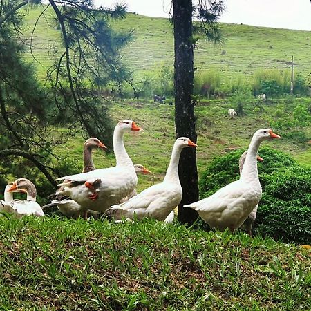 Casa Inteira A 15 Minutos Do Centro De Miguel Pereira Villa Vassouras Dış mekan fotoğraf