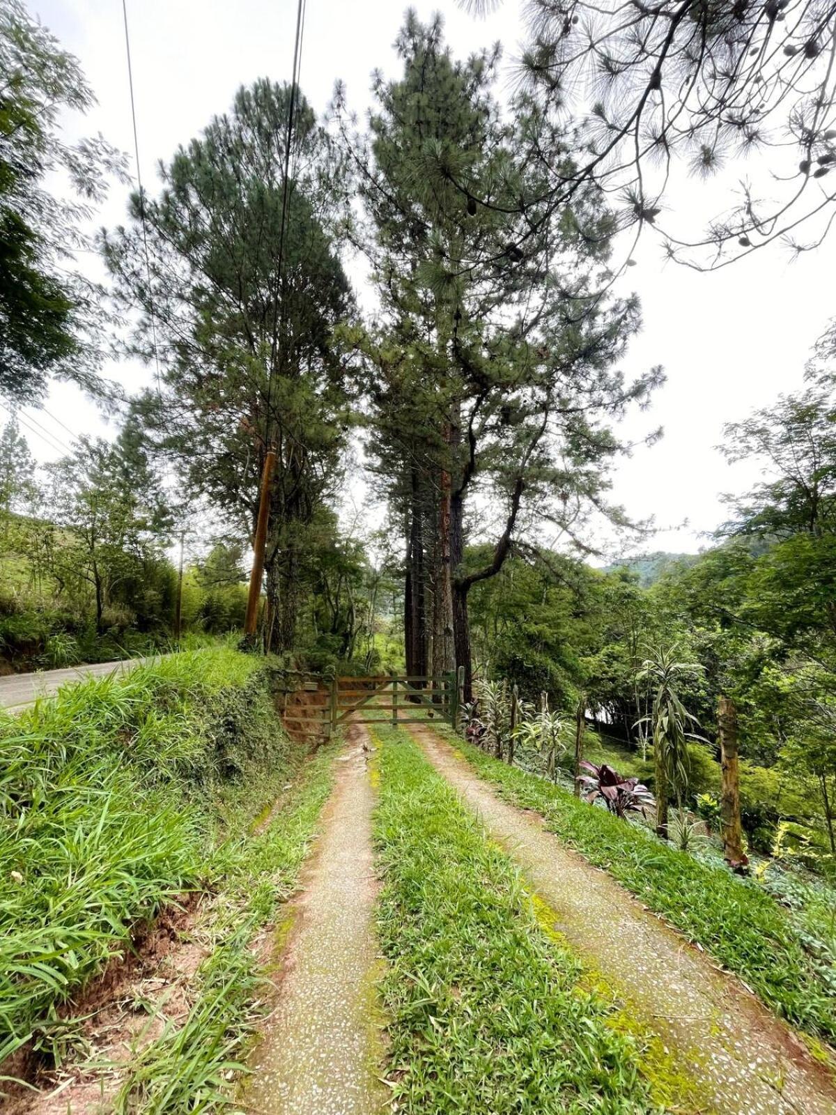 Casa Inteira A 15 Minutos Do Centro De Miguel Pereira Villa Vassouras Dış mekan fotoğraf