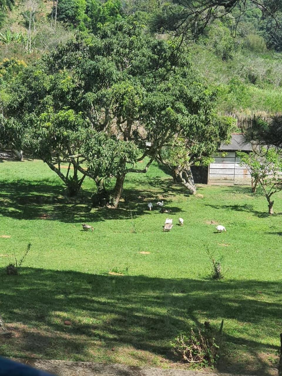 Casa Inteira A 15 Minutos Do Centro De Miguel Pereira Villa Vassouras Dış mekan fotoğraf