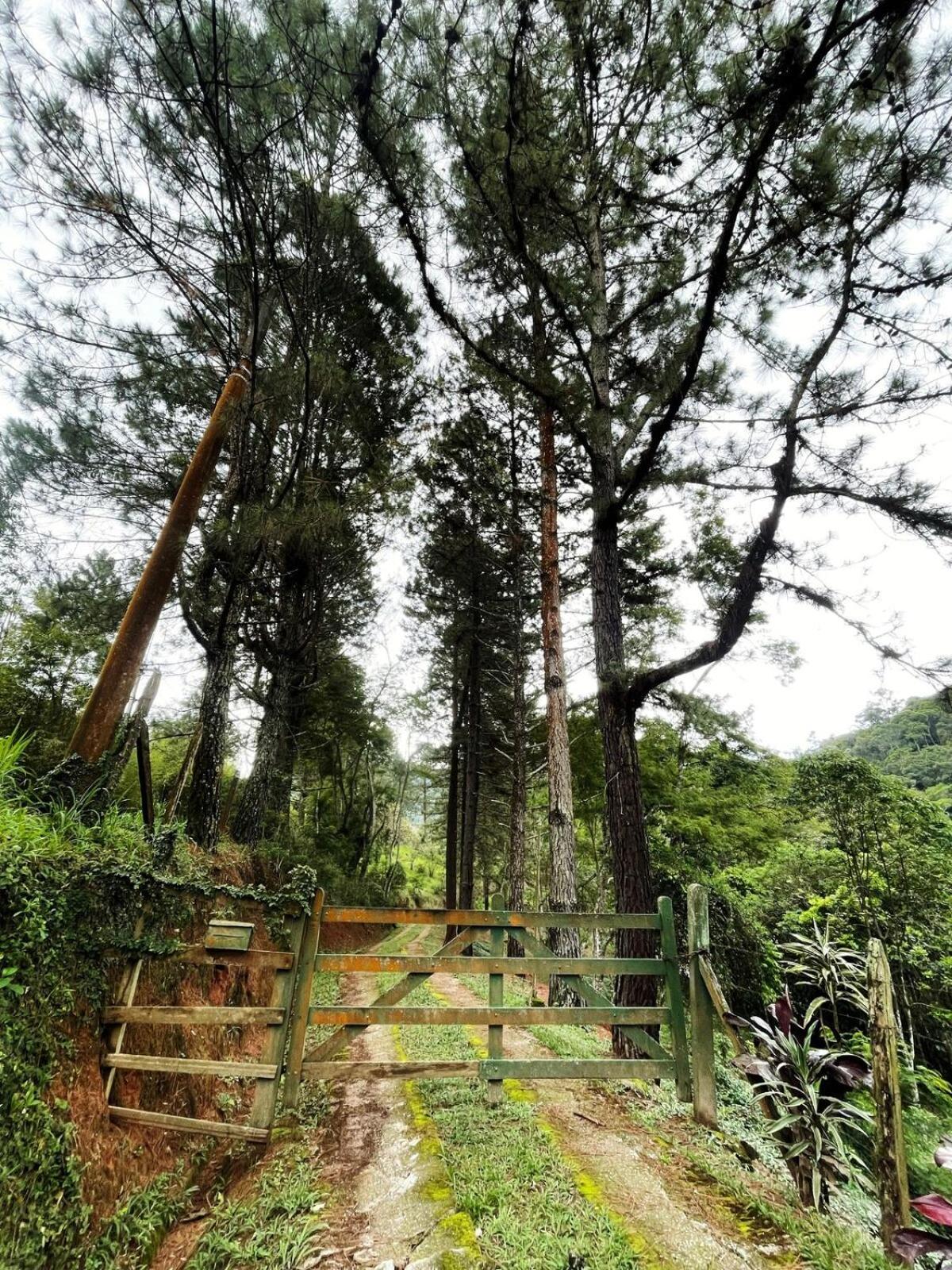 Casa Inteira A 15 Minutos Do Centro De Miguel Pereira Villa Vassouras Dış mekan fotoğraf